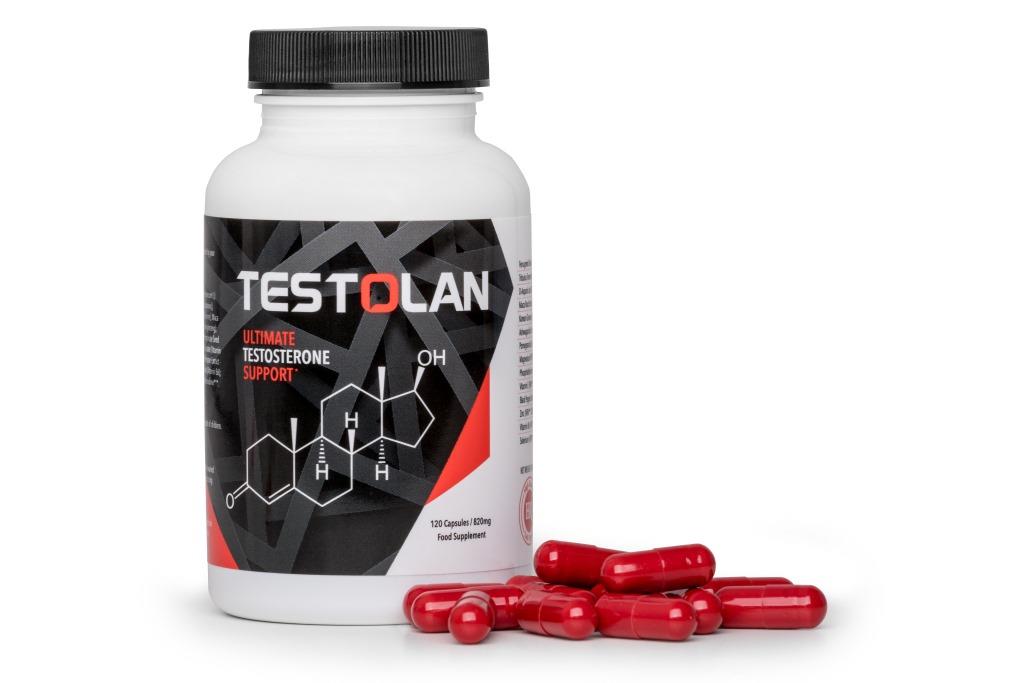 Testolan - Image 4