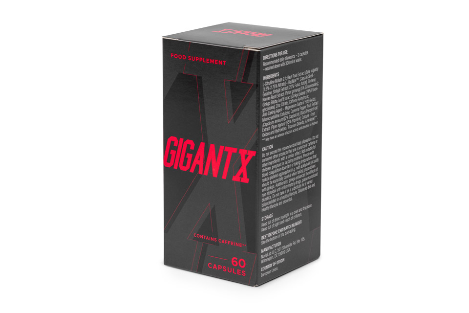 GigantX - Image 8