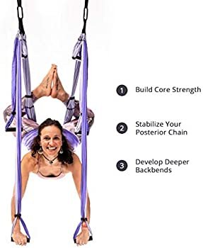 YOGABODY Yoga Trapeze Pro – Yoga Inversion Swing with Free Video Series and Pose Chart, Purple - Image 3